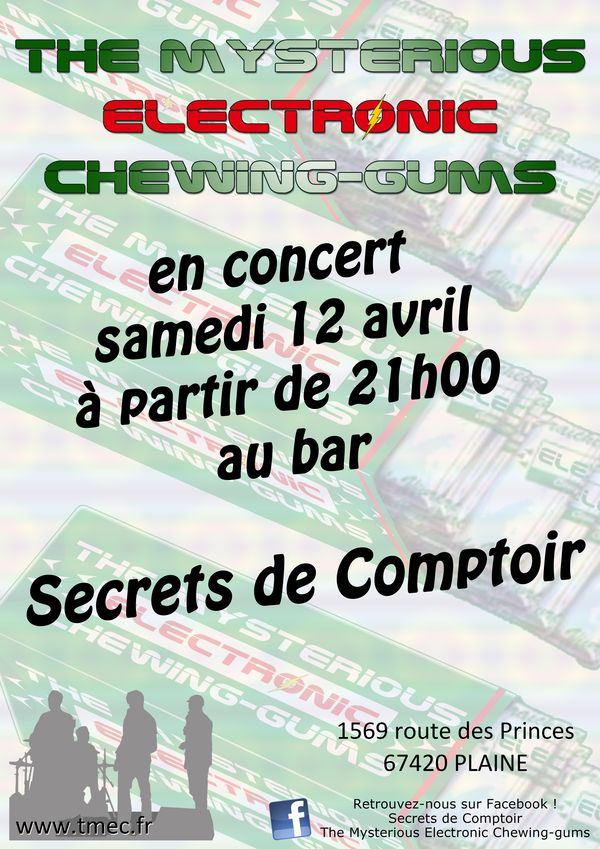 20140412 TMEC - Affiche concert Plaine 600